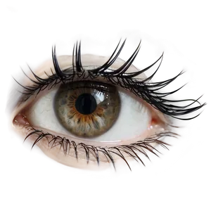 Lash Bonding Agent PNG 06122024 PNG