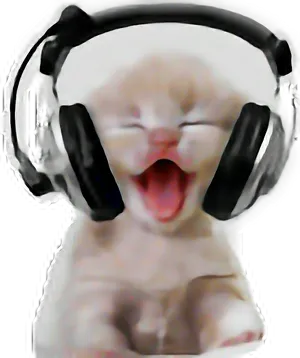 Laughing Catwith Headphones.png PNG image