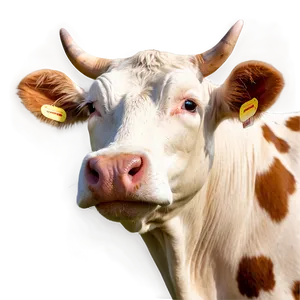 Laughing Cow Png Pil PNG image