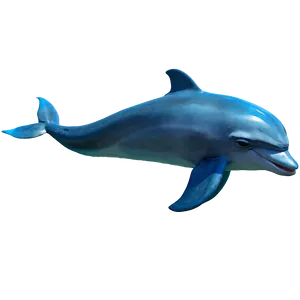 Laughing Dolphin Png Vvb PNG image