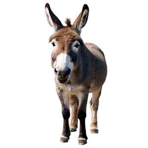 Laughing Donkey PNG Dpd