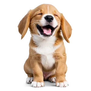 Laughing Puppy PNG 27