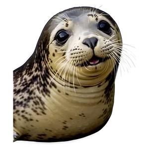 Laughing Seal Png Avw PNG image