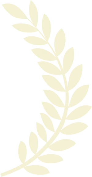 Laurel Leaves Graphic PNG image