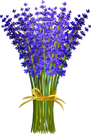 Lavender Bouquet Illustration