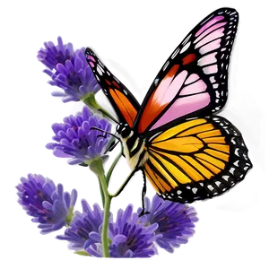 Lavender Butterfly Attraction PNG Wla