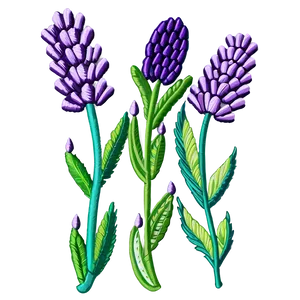 Lavender Embroidery Design Png 19 PNG image