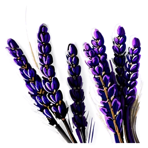 Lavender Embroidery Design PNG Vgc PNG