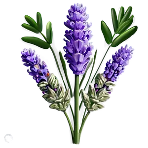 Lavender Essence Flower Png 06132024 PNG image