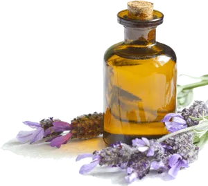 Lavender Essential Oiland Flowers.png PNG image