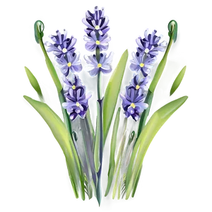 Lavender Field Flower Png 35 PNG image