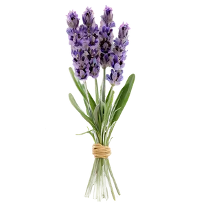 Lavender Floral Arrangement PNG 3 PNG