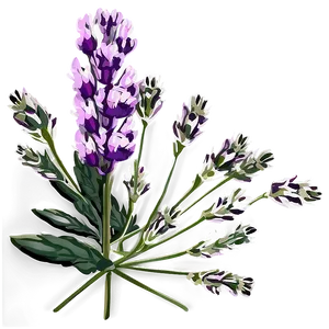 Lavender Floral Arrangement PNG Sdg35 PNG