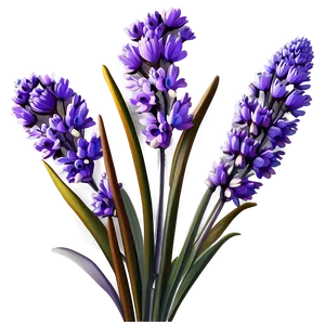 Lavender Floral Design PNG Yjj95 PNG