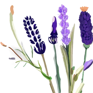 Lavender Floral PNG Xqs