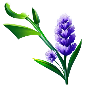 Lavender Flower Art PNG 05252024