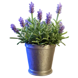 Lavender Flower Bush PNG 06122024