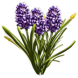 Lavender Flower Bush PNG Wih