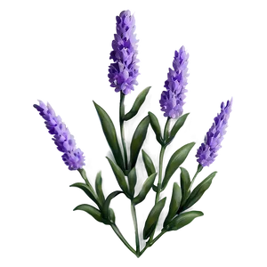 Lavender Flower Pattern PNG 18 PNG