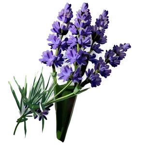 Lavender Flower Png 05062024 PNG image