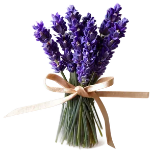 Lavender Greeting Card PNG 05062024