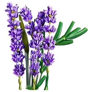 Lavender Greeting Card PNG 05062024
