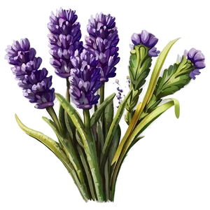 Lavender Greeting Card PNG 05062024 PNG