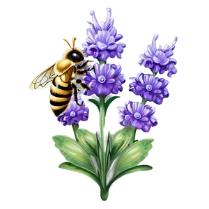 Lavender Honey Bee Garden PNG Tno55 PNG