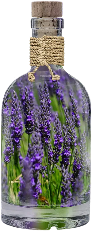 Lavender In Glass Bottle PNG image
