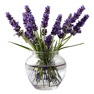 Lavender In Vase Png Doq PNG image