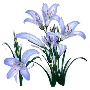 Lavender Lily PNG Wvu