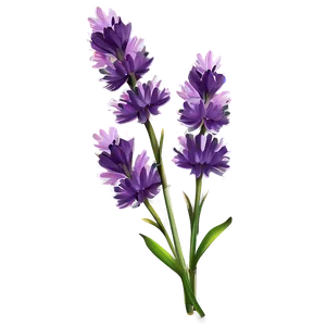 "lavender Luxury: Soothing Flower PNG" B