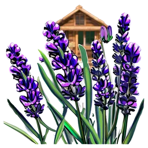 Lavender Nature Scene Png 06132024 PNG image