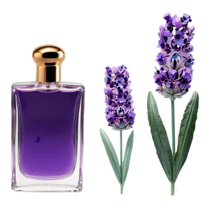 Lavender Perfume Flask PNG 16