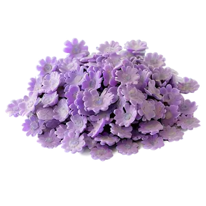 Lavender Petal PNG 05242024