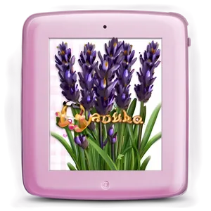 Lavender Pink Ipad Png 06252024 PNG image