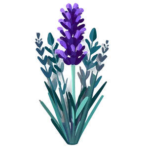 Lavender Plant Flat Design PNG 06282024 PNG