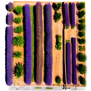 Lavender Plantation Aerial View PNG Mqi16 PNG