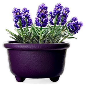 Lavender Pot Plant Png 05062024 PNG image
