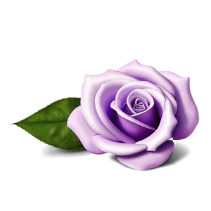 Lavender Rose PNG 05242024