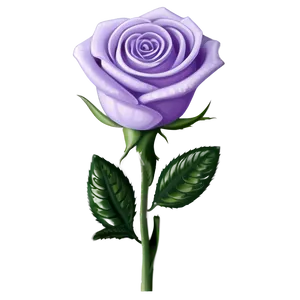 Lavender Rose PNG Ygn