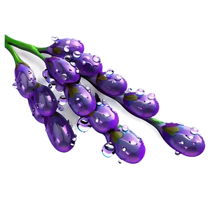 Lavender Sprig Water Droplets PNG Nhh78