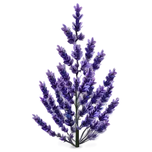 "lavender Twilight Tree PNG" 04302024