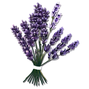 Lavender Wedding Bouquets PNG Exv85 PNG