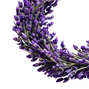 Lavender Wreath Circle PNG Tey