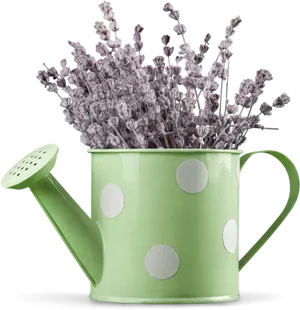 Lavenderin Green Watering Can PNG image
