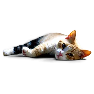 Lazy Cat Meme Png Xqk PNG image