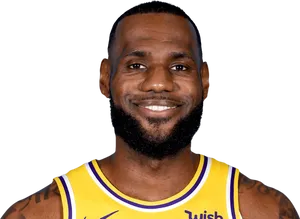Le Bron James Lakers Portrait PNG image