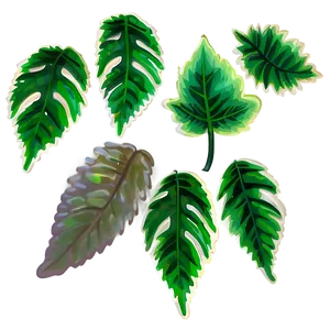 Leaf Art PNG Trl