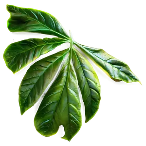 Leaf Background PNG 67